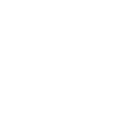 زفات لايف